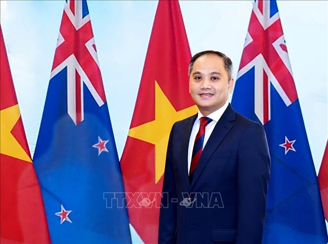 Đại sứ Việt Nam tại New Zealand Phan Minh Giang. Ảnh: TTXVN phát