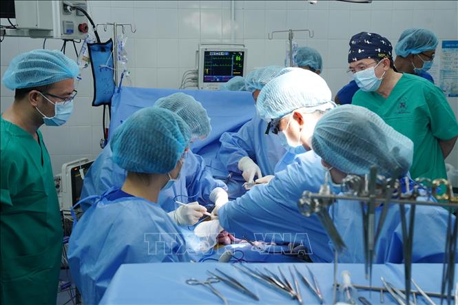 Các bác sĩ Bệnh viện Thống Nhất Thành phố Hồ Chí Minh thực hiện lấy tạng của người chết não. Ảnh: TTXVN phát                                             