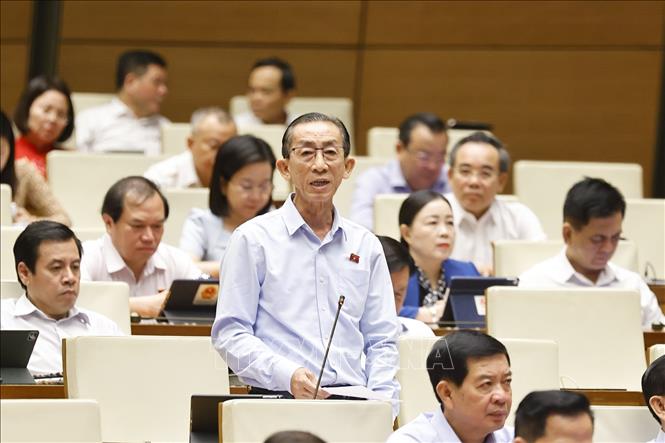 Đại biểu Quốc hội TP Hồ Chí Minh Trần Hoàng Ngân phát biểu. Ảnh: Doãn Tấn - TTXVN