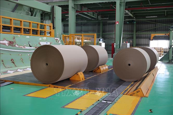 Sản phẩm của Công ty TNHH Kraft of Asia Paperboard & Packaging (KOA), khu công nghiệp Phú Mỹ 3, thành phố Phú Mỹ. Ảnh: Hoàng Nhị - TTXVN