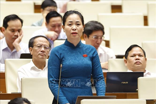 Đại biểu Quốc hội tỉnh Thái Bình Nguyễn Thị Thu Dung phát biểu. Ảnh: Doãn Tấn - TTXVN