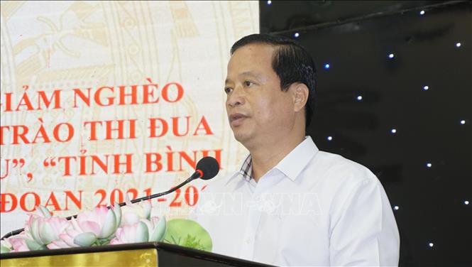 Ông Nguyễn Tuấn Thanh, Phó Chủ tịch UBND tỉnh Bình Định phát biểu tại hội nghị. Ảnh: Đình Quân-TTXVN
