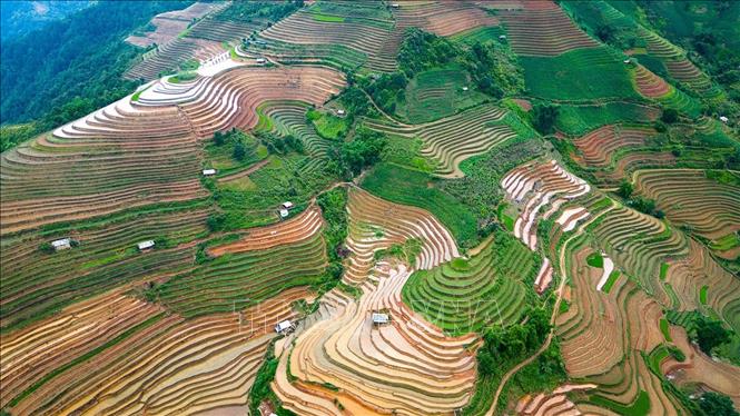 Vẻ đẹp của những thửa ruộng bậc thang mùa nước đổ tại xã Lao Chải (huyện Mù Cang Chải, tỉnh Yên Bái). Ảnh: Khánh Hoà – TTXVN 