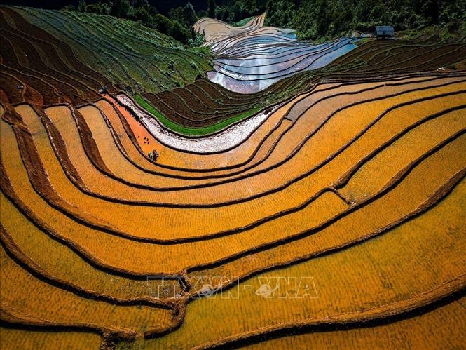 Vẻ đẹp của những thửa ruộng bậc thang mùa nước đổ tại xã Lao Chải (huyện Mù Cang Chải, tỉnh Yên Bái). Ảnh: Khánh Hoà – TTXVN 