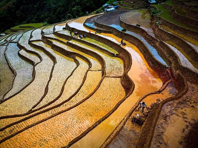 Vẻ đẹp của những thửa ruộng bậc thang mùa nước đổ tại xã Lao Chải (huyện Mù Cang Chải, tỉnh Yên Bái). Ảnh: Khánh Hoà – TTXVN 