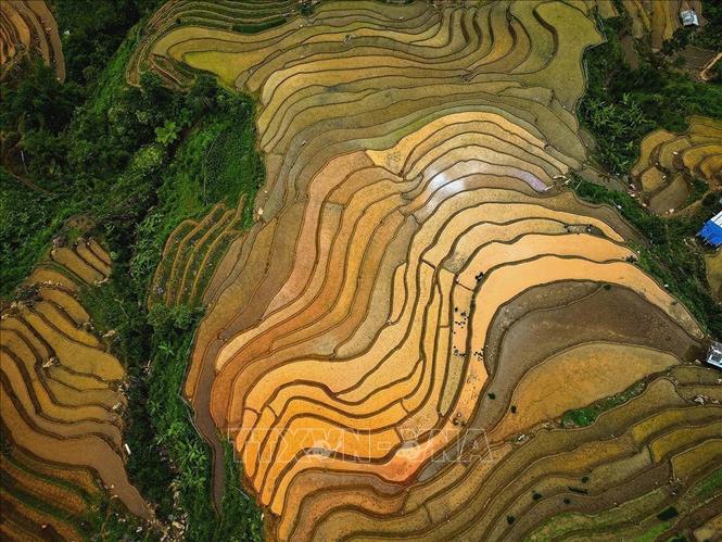 Vẻ đẹp của những thửa ruộng bậc thang mùa nước đổ tại xã Lao Chải (huyện Mù Cang Chải, tỉnh Yên Bái). Ảnh: Khánh Hoà – TTXVN 