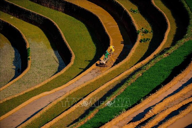 Vẻ đẹp của những thửa ruộng bậc thang mùa nước đổ tại xã Kim Nọi (huyện Mù Cang Chải, tỉnh Yên Bái). Ảnh: Khánh Hoà – TTXVN 
