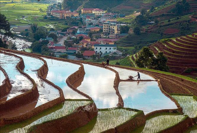 Vẻ đẹp của những thửa ruộng bậc thang mùa nước đổ tại xã Mồ Dề (huyện Mù Cang Chải, tỉnh Yên Bái). Ảnh: Khánh Hoà – TTXVN 