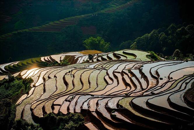 Vẻ đẹp của những thửa ruộng bậc thang mùa nước đổ tại xã Lao Chải (huyện Mù Cang Chải, tỉnh Yên Bái). Ảnh: Khánh Hoà – TTXVN 
