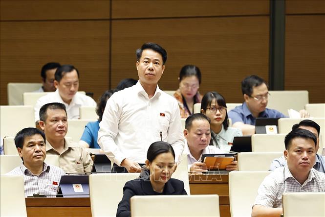 Đại biểu Quốc hội tỉnh Lai Châu Hoàng Quốc Khánh phát biểu. Ảnh: Doãn Tấn - TTXVN