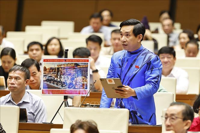 Đại biểu Quốc hội tỉnh Bình Định Nguyễn Văn Cảnh phát biểu. Ảnh: Doãn Tấn - TTXVN
