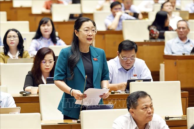 Đại biểu Quốc hội tỉnh Vĩnh Long Nguyễn Thị Quyên Thanh phát biểu. Ảnh: Doãn Tấn - TTXVN