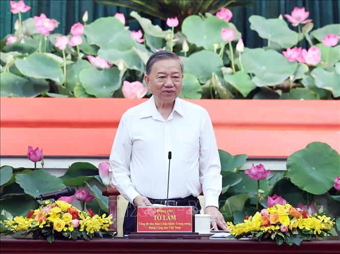 Tổng Bí thư Tô Lâm chủ trì buổi làm việc. Ảnh: Thống Nhất – TTXVN