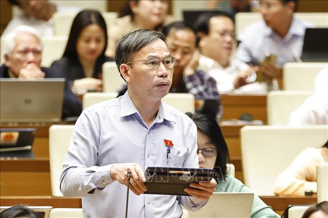 Đại biểu Quốc hội tỉnh Bình Định Đồng Ngọc Ba phát biểu. Ảnh: Doãn Tấn - TTXVN
