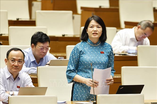 Đại biểu Quốc hội tỉnh Hải Dương Nguyễn Thị Mai Thoa phát biểu. Ảnh: Doãn Tấn - TTXVN