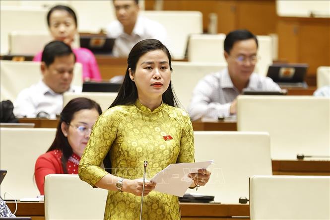 Đại biểu Quốc hội tỉnh Quảng Nam Đặng Thị Bảo Trinh phát biểu. Ảnh: Doãn Tấn - TTXVN