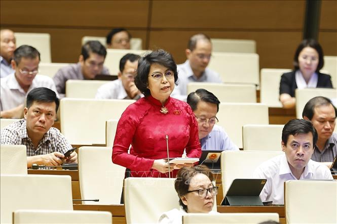 Đại biểu Quốc hội TP Hồ Chí Minh Tô Thị Bích Châu phát biểu. Ảnh: Doãn Tấn - TTXVN