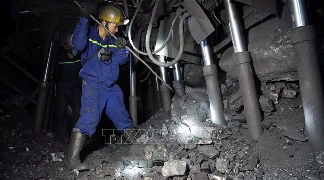 Anh hùng Lao động Phạm Đình Duẩn khai thác than hầm lò. Ảnh: TTXVN phát