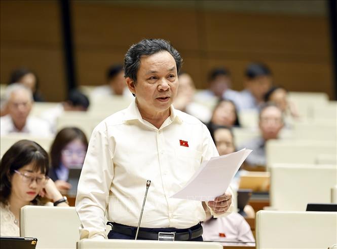 Đại biểu Quốc hội TP Hà Nội Hoàng Văn Cường phát biểu. Ảnh: Doãn Tấn - TTXVN