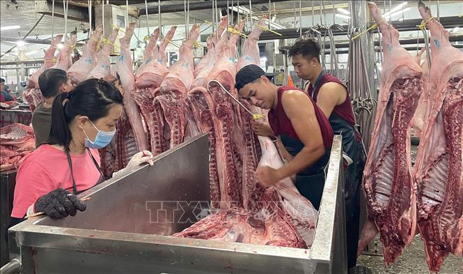 Mỗi ngày chợ Hóc Môn tiêu thụ 310 - 320 tấn thịt lợn. Ảnh: Hương Giang - TTXVN