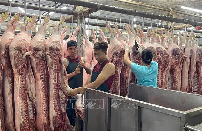 Nhân viên tại chợ đầu mối nông sản thực phẩm Hóc Môn tất bật làm việc từ 0h mỗi ngày. Ảnh: Hương Giang - TTXVN