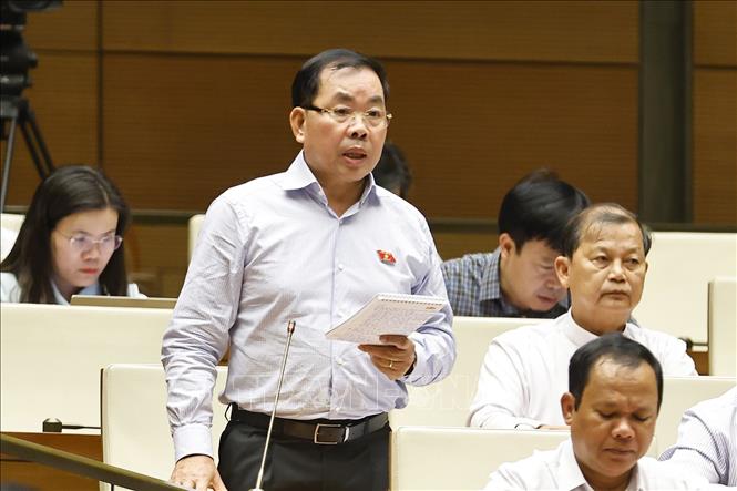 Đại biểu Quốc hội tỉnh Bình Dương Nguyễn Quang Huân phát biểu. Ảnh: Doãn Tấn - TTXVN