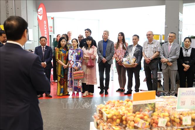 Đại diện nhiều doanh nghiệp xuất - nhập khẩu và khách hàng tham dự 