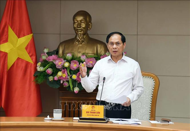  Phó Thủ tướng, Bộ trưởng Bộ Ngoại giao Bùi Thanh Sơn phát biểu. Ảnh: An Đăng - TTXVN