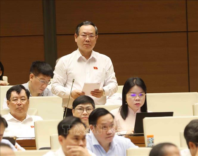 Đại biểu Quốc hội tỉnh Bình Dương Trần Văn Dành chất vấn. Ảnh: Phương Hoa - TTXVN