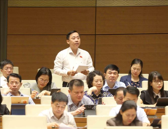 Đại biểu Quốc hội thành phố Cần Thơ Đào Chí Nghĩa đặt câu hỏi chất vấn. Ảnh: Phương Hoa - TTXVN