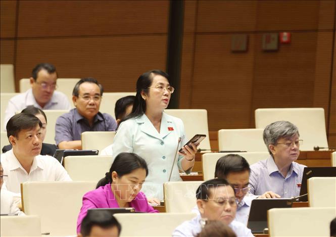 Đại biểu Quốc hội thành phố Hồ Chí Minh Trần Kim Yến đặt câu hỏi chất vấn. Ảnh: Phương Hoa - TTXVN