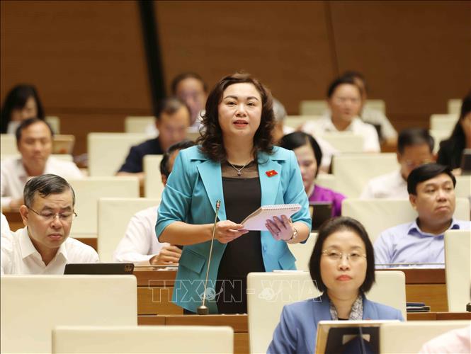 Đại biểu Quốc hội tỉnh Hoà Bình Đặng Bích Ngọc đặt câu hỏi chất vấn. Ảnh: Phương Hoa - TTXVN