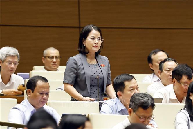 Đại biểu Quốc hội tỉnh Bình Dương Nguyễn Hoàng Bảo Trân đặt câu hỏi chất vấn. Ảnh: Doãn Tấn - TTXVN
