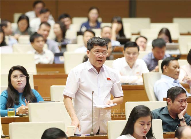 Đại biểu Quốc hội tỉnh Quảng Nam Tạ Văn Hạ đặt câu hỏi chất vấn. Ảnh: Phương Hoa - TTXVN