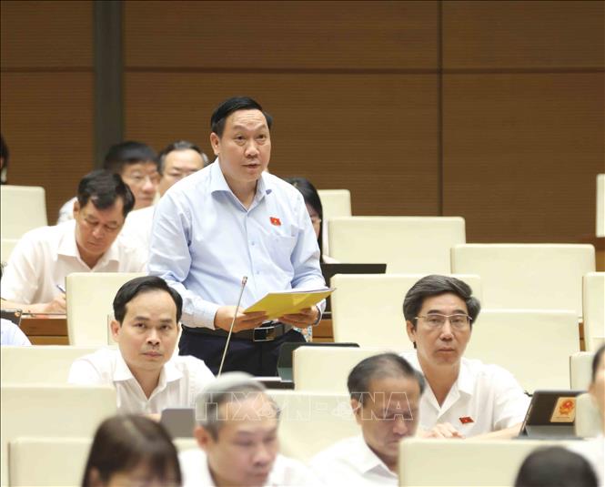 Đại biểu Quốc hội tỉnh Đồng Nai Bùi Xuân Thắng tranh luận. Ảnh: Phương Hoa - TTXVN