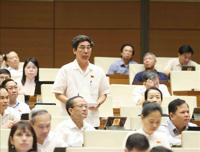 Đại biểu Quốc hội thành phố Đà Nẵng Trần Chí Cường đặt câu hỏi chất vấn. Ảnh: Phương Hoa - TTXVN