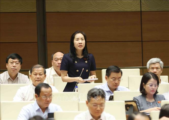 Đại biểu Quốc hội tỉnh Hưng Yên Đoàn Thị Thanh Mai đặt câu hỏi chất vấn. Ảnh: Phương Hoa - TTXVN