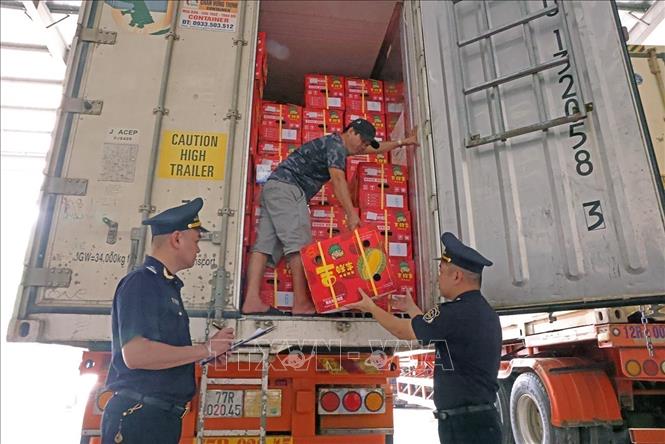 Customs officers check durians exported at the Tan Thanh International Border Gate. VNA Photo: Vũ Sinh