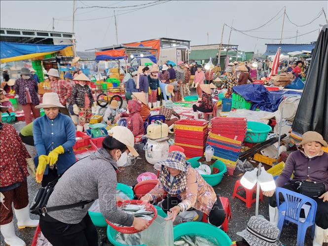Hoạt động buôn bán hải sản tại cảng cá Đông Hải (thành phố Phan Rang – Tháp Chàm, tỉnh Ninh Thuận). Ảnh: Nguyễn Thành – TTXVN