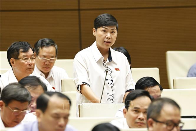 Đại biểu Quốc hội tỉnh Đồng Nai Đỗ Thị Thu Hằng đặt câu hỏi chất vấn. Ảnh: Doãn Tấn - TTXVN