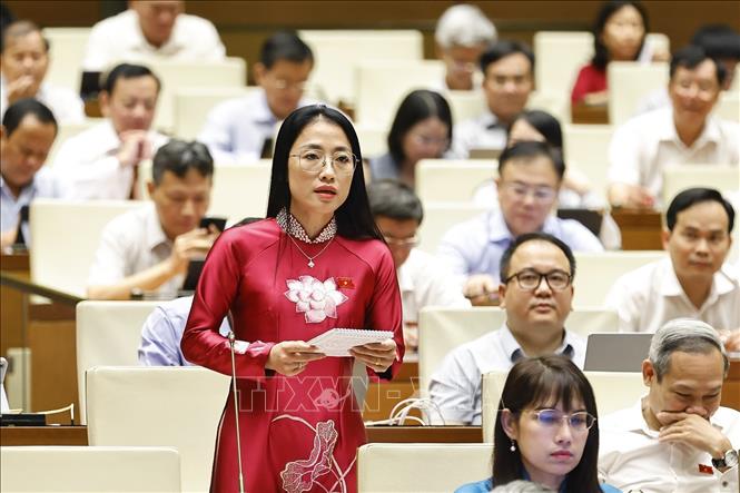 Đại biểu Quốc hội tỉnh Thái Bình Trần Khánh Thu đặt câu hỏi chất vấn. Ảnh: Doãn Tấn - TTXVN
