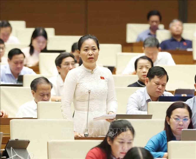 Đại biểu Quốc hội tỉnh Thái Bình Nguyễn Thị Thu Dung đặt câu hỏi chất vấn. Ảnh: Phương Hoa - TTXVN