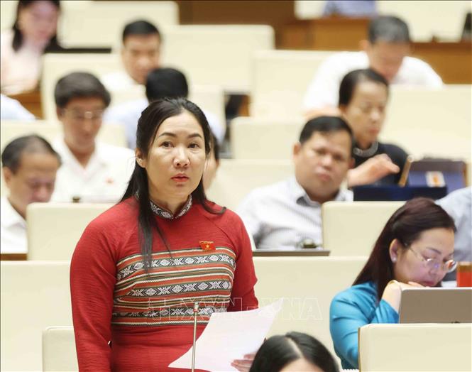 Đại biểu Quốc hội tỉnh Kon Tum Trần Thị Thu Phước đặt câu hỏi chất vấn. Ảnh: Phương Hoa - TTXVN
