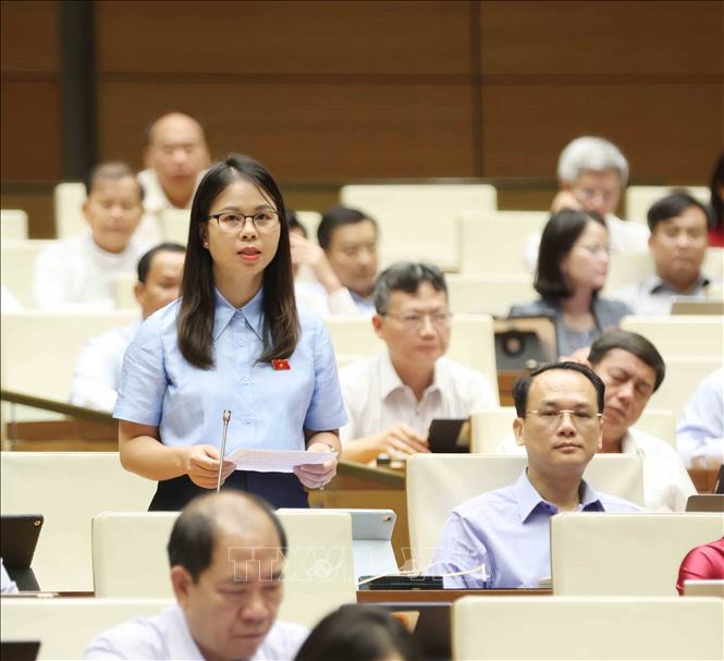Đại biểu Quốc hội tỉnh Lạng Sơn Chu Thị Hồng Thái đặt câu hỏi chất vấn. Ảnh: Phương Hoa - TTXVN