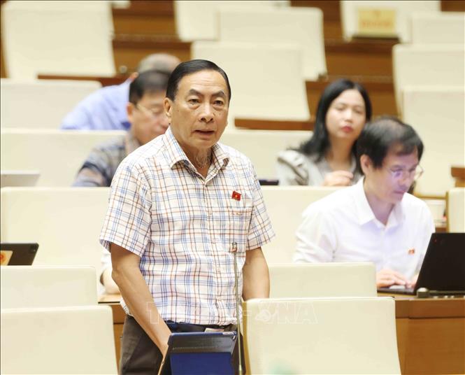 Đại biểu Quốc hội tỉnh Đồng Tháp Phạm Văn Hoà đặt câu hỏi chất vấn. Ảnh: Phương Hoa - TTXVN