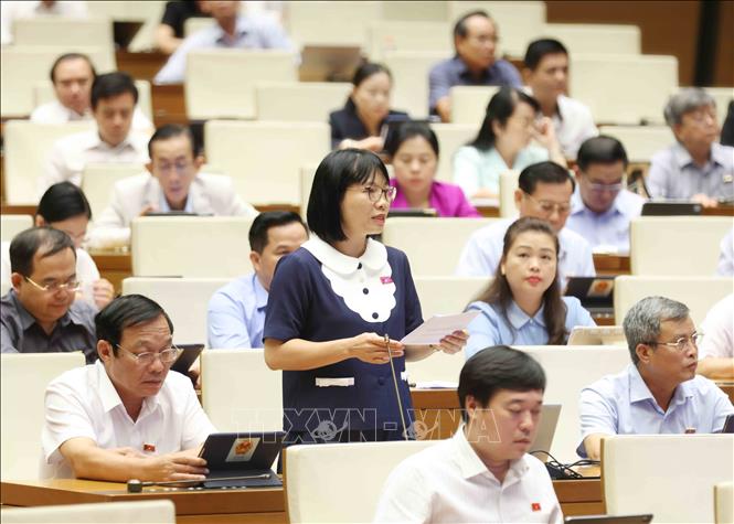 Đại biểu Quốc hội tỉnh Hải Dương Nguyễn Thị Việt Nga đặt câu hỏi chất vấn. Ảnh: Phương Hoa - TTXVN