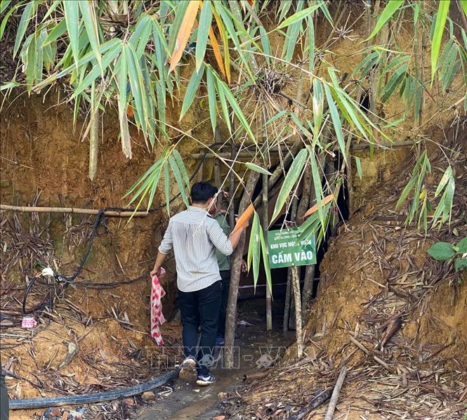 Rào chắn, cảnh báo cấm vào hầm khai thác vàng trái phép tại khoảnh 4, tiểu khu 1716, thuộc địa giới hành chính xã Đắk Ha, huyện Đắk Glong, tỉnh Đắk Nông. Ảnh: TTXVN phát