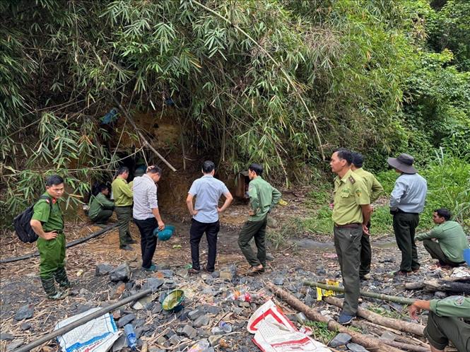 Ngành chức năng huyện Đắk Glong, tỉnh Đắk Nông kiểm tra một hầm khai thác vàng trái phép tại xã Đắk Ha, huyện Đắk Glong. Ảnh: TTXVN phát