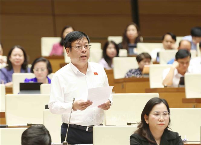 Đại biểu Quốc hội tỉnh Đắc Nông Nguyễn Trường Giang đặt câu hỏi chất vấn. Ảnh: Phương Hoa - TTXVN