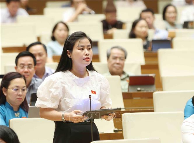 Đại biểu Quốc hội tỉnh Quảng Nam Đặng Thị Bảo Trinh đặt câu hỏi chất vấn. Ảnh: Phương Hoa - TTXVN